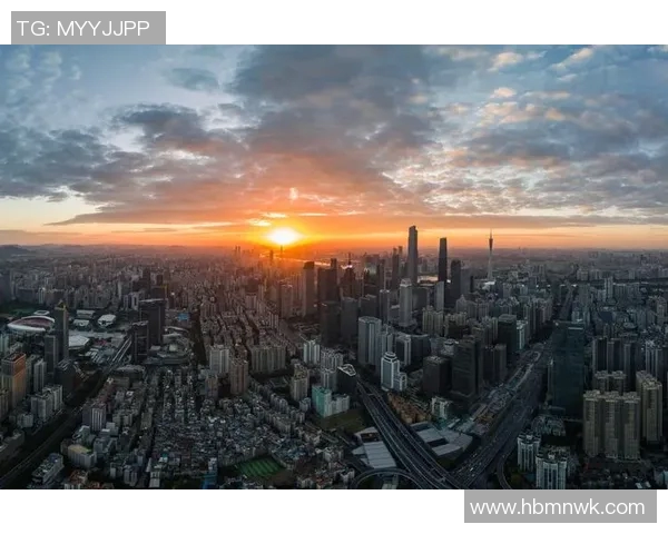 广州排球队的奋斗历程与荣耀时刻全景回顾